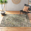 Albion Oriental Indoor Rug