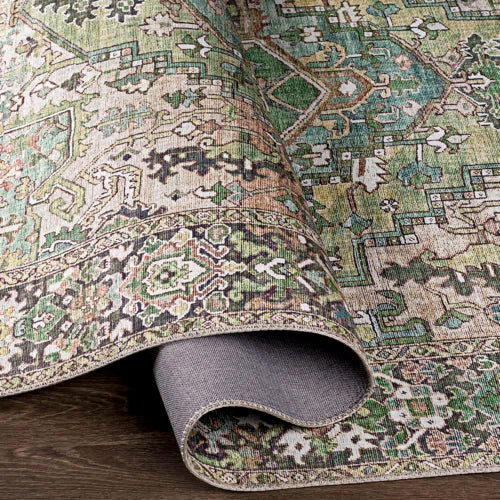 Albion Oriental Indoor Rug