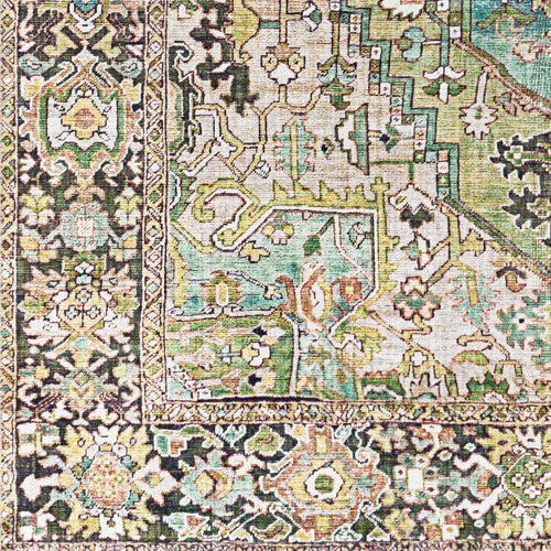 Albion Oriental Indoor Rug