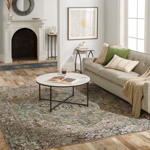Albion Oriental Indoor Rug